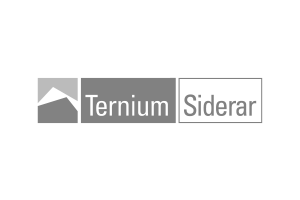 Ternium Siderar Logotipo